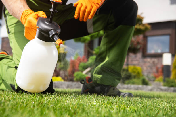 Best Cockroach Control Services  in , WA