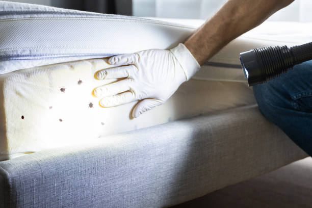 Best Wildlife Control Services  in , WA