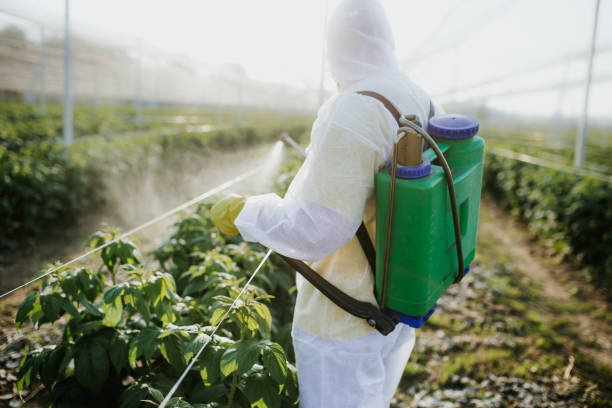Best Wildlife Control Services  in , WA